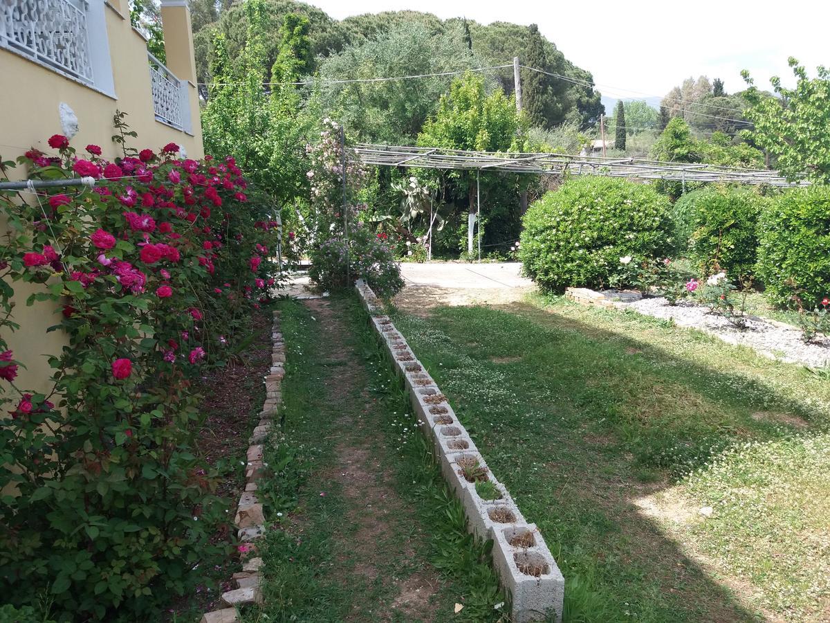 Athineos Apartments Koméno Kültér fotó