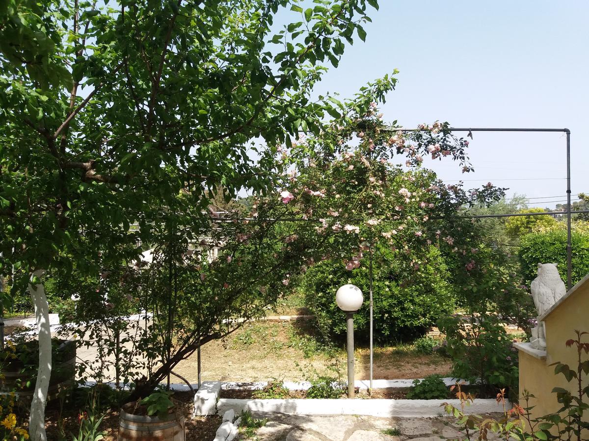 Athineos Apartments Koméno Kültér fotó