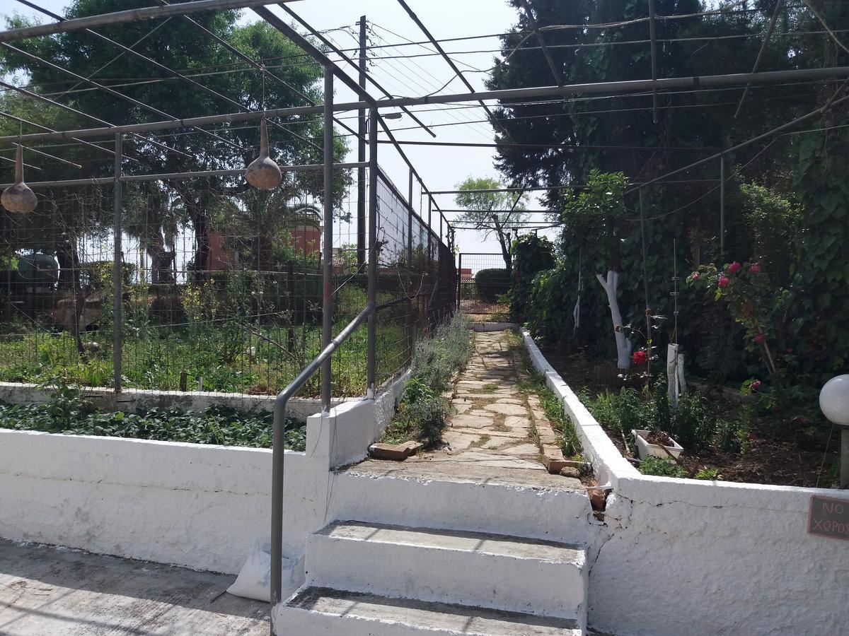 Athineos Apartments Koméno Kültér fotó